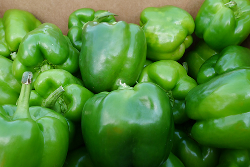 bell-peppers-home-image.jpg