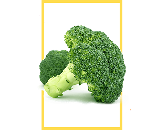 broccoli-frame-home-page.png