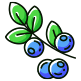 blueberry-icon-2.png