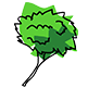 broccoli-icon.png