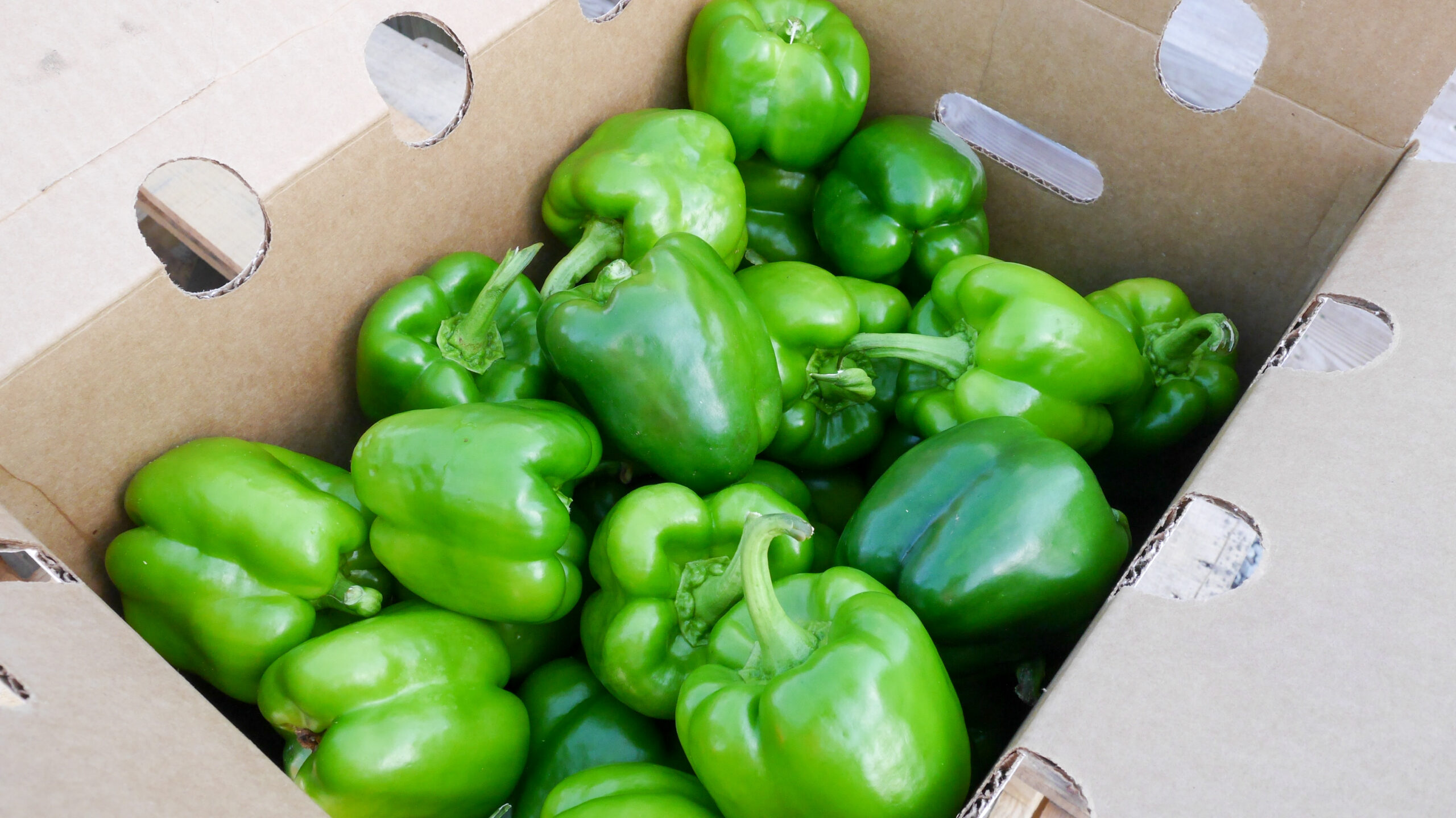 organic and conventional produce bell peppers
