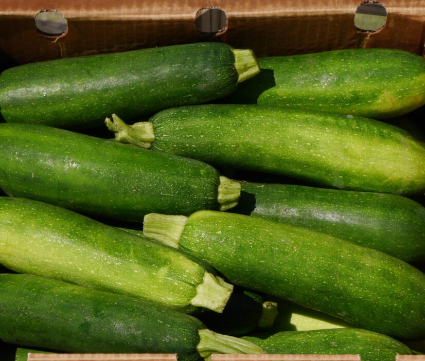 Fresh Zucchini American