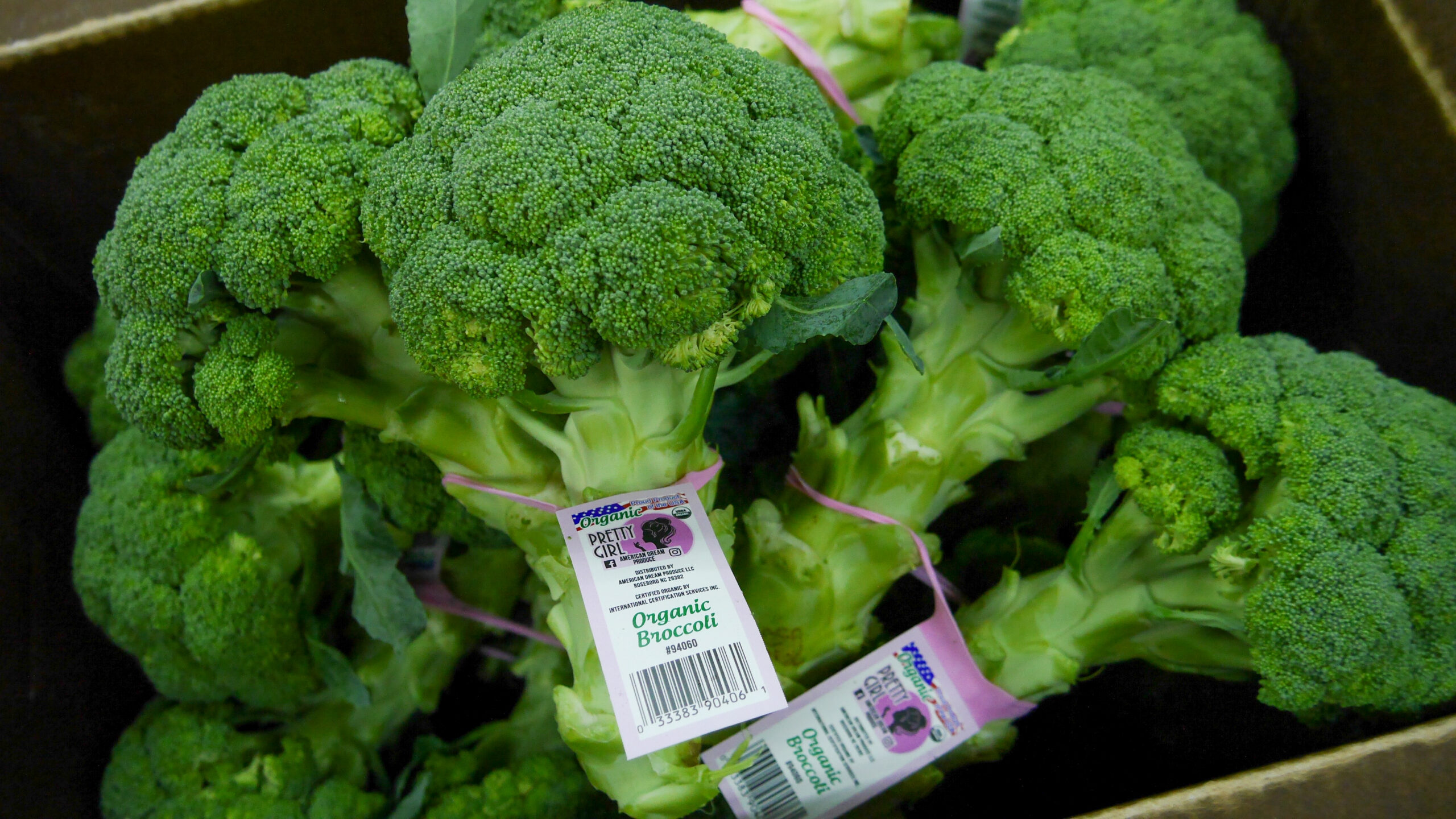 organic broccoli fresh produce